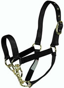 Hamilton Cow Halter